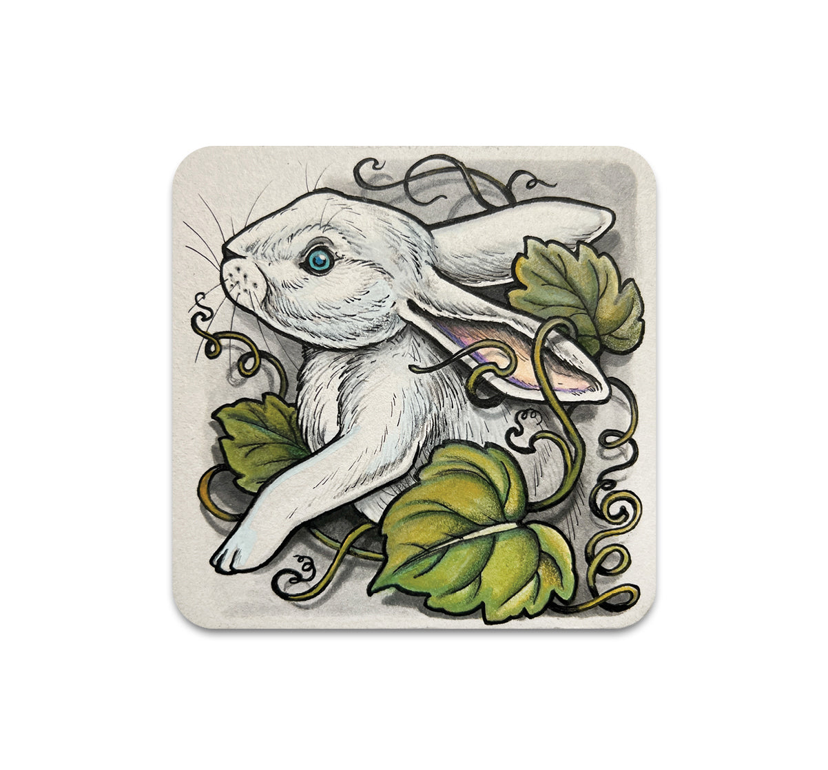 S10 Shawn Hebrank - Coaster 2