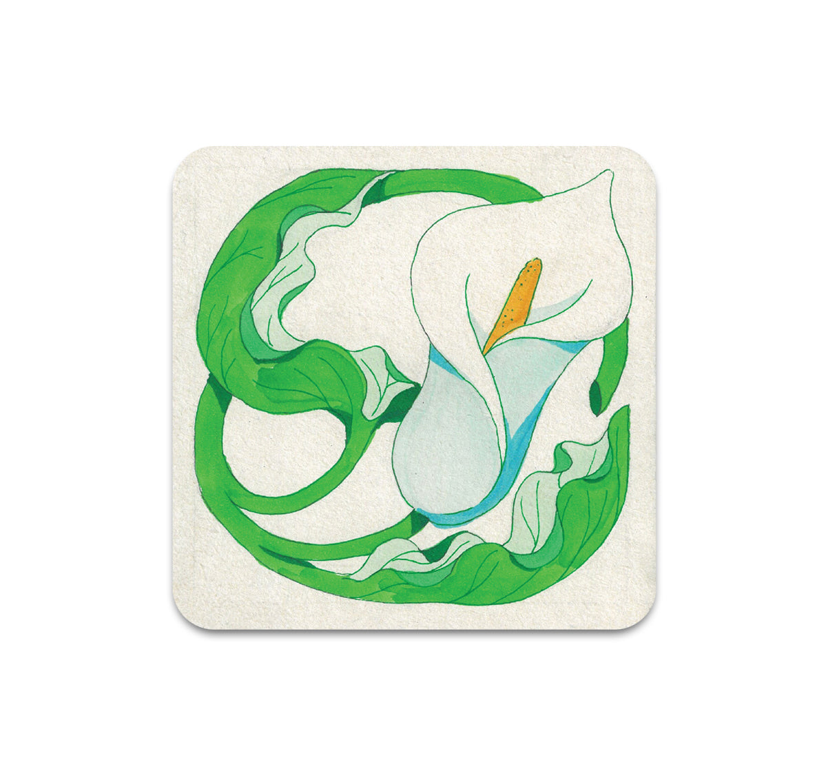 S10 fulltimefish - Coaster 3