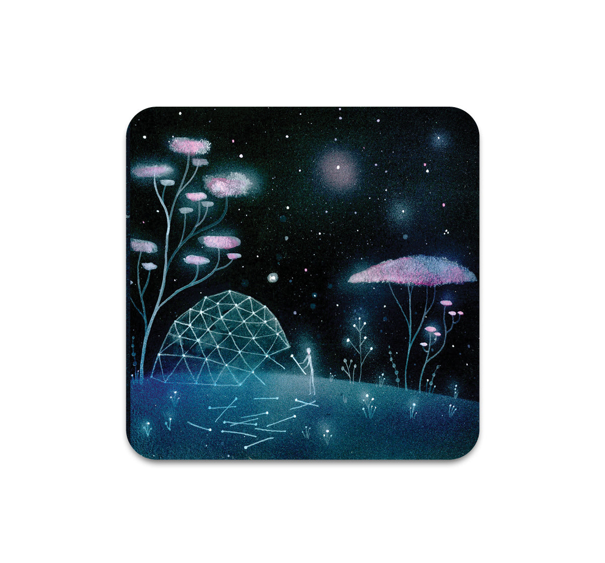 S11 Aaron Piland - Coaster 2