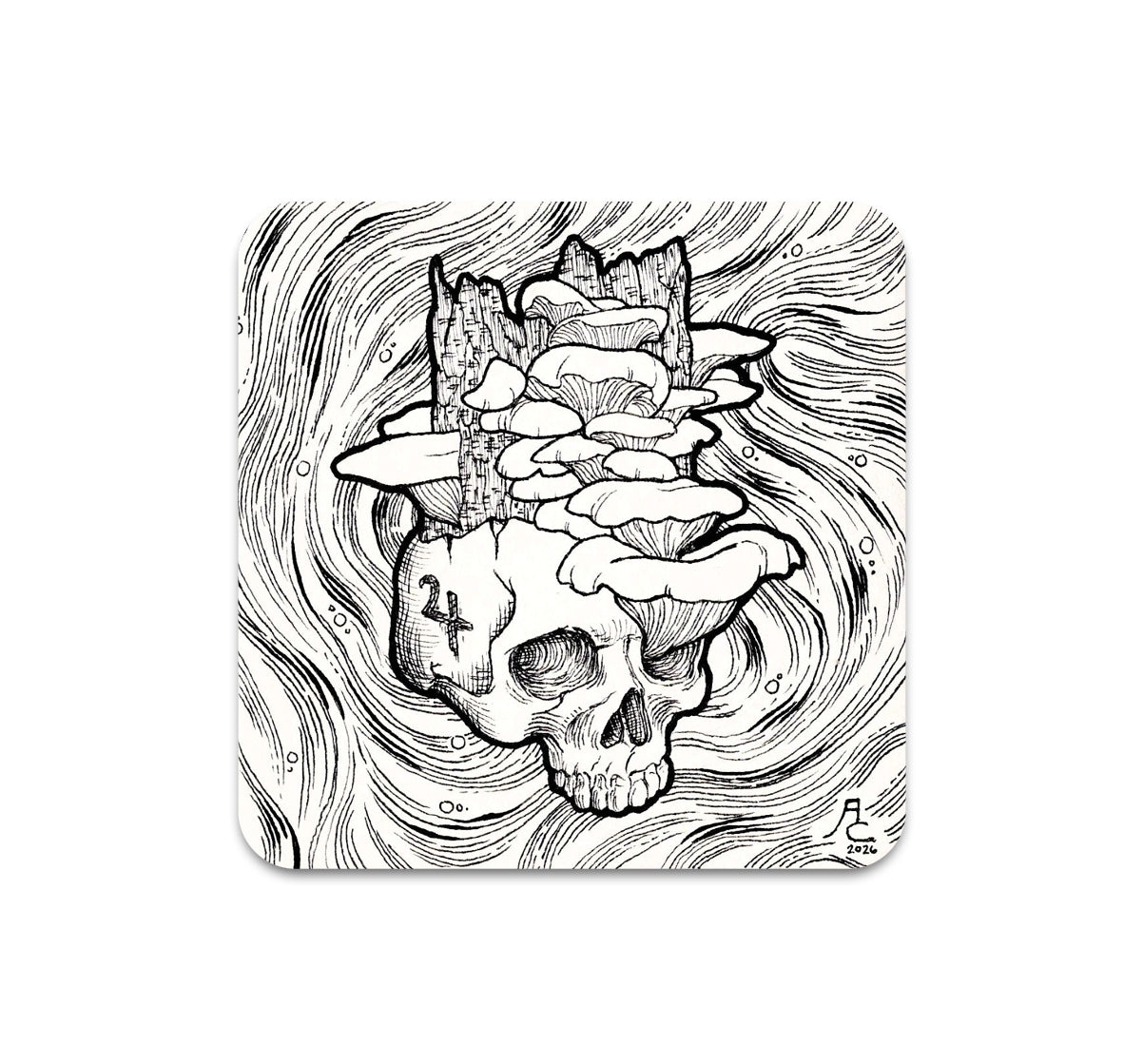 S11 Alex Cabal - Coaster 4