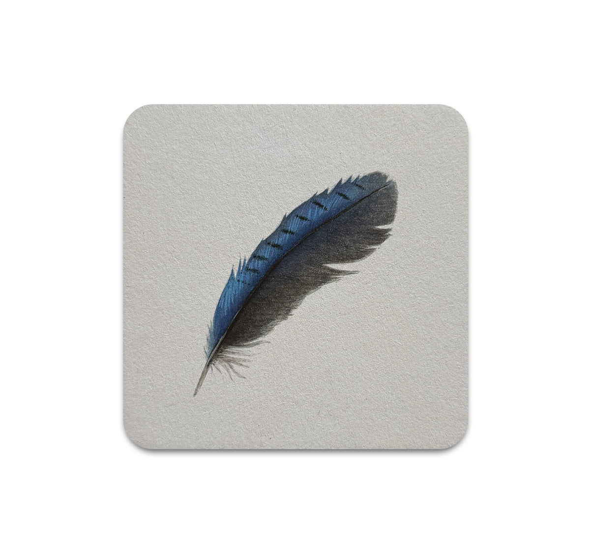 S11 Allison May Kiphuth - Coaster 2