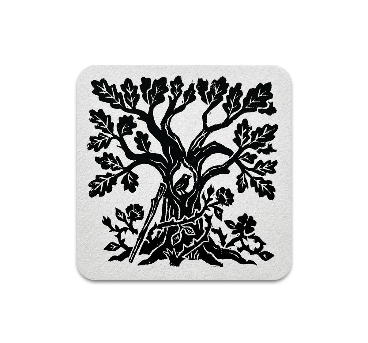 S11 Andrea Lauren - Coaster 5