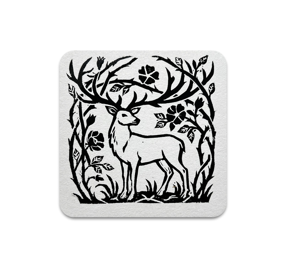 S11 Andrea Lauren - Coaster 6