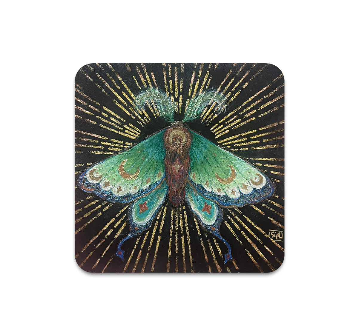 S11 Andrea Sipl - Coaster 1