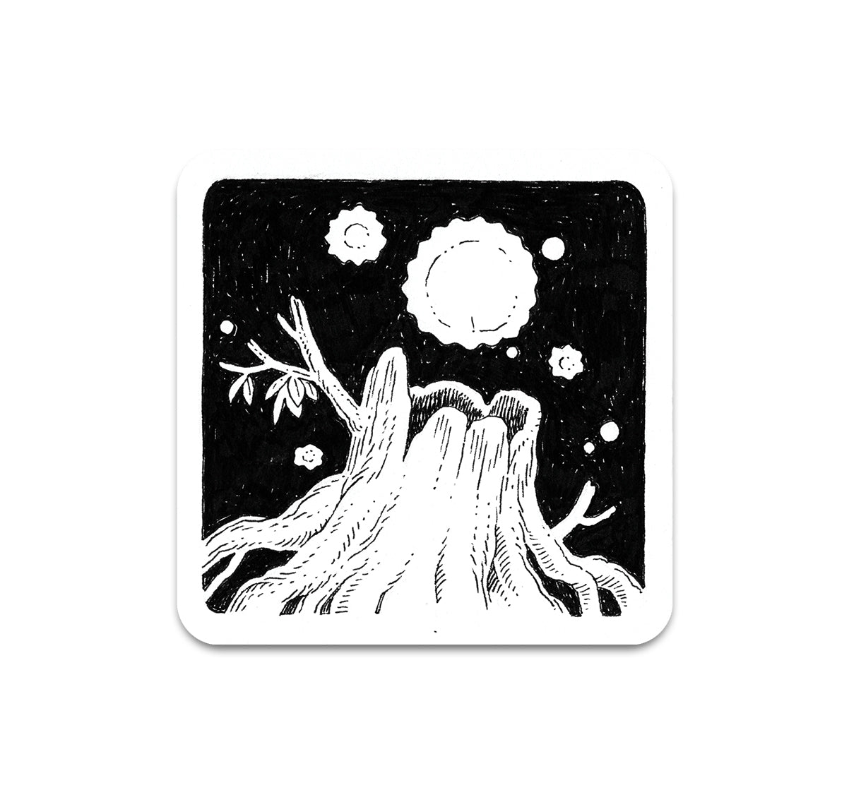S11 Ben McEntee - Coaster 6
