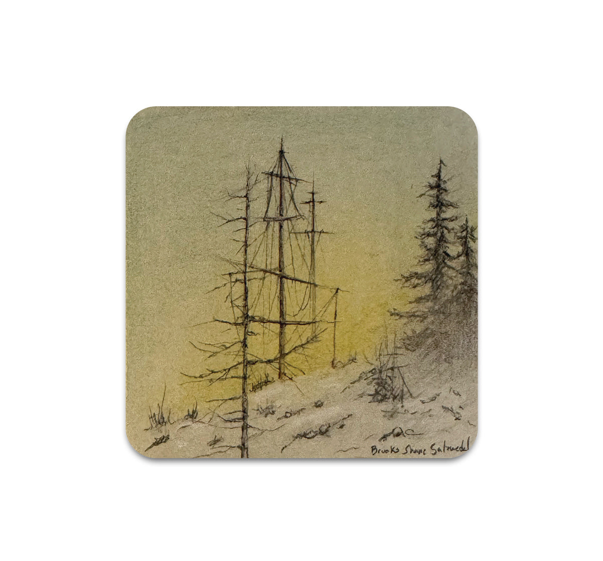 S11 Brooks Shane Salzwedel - Coaster 3