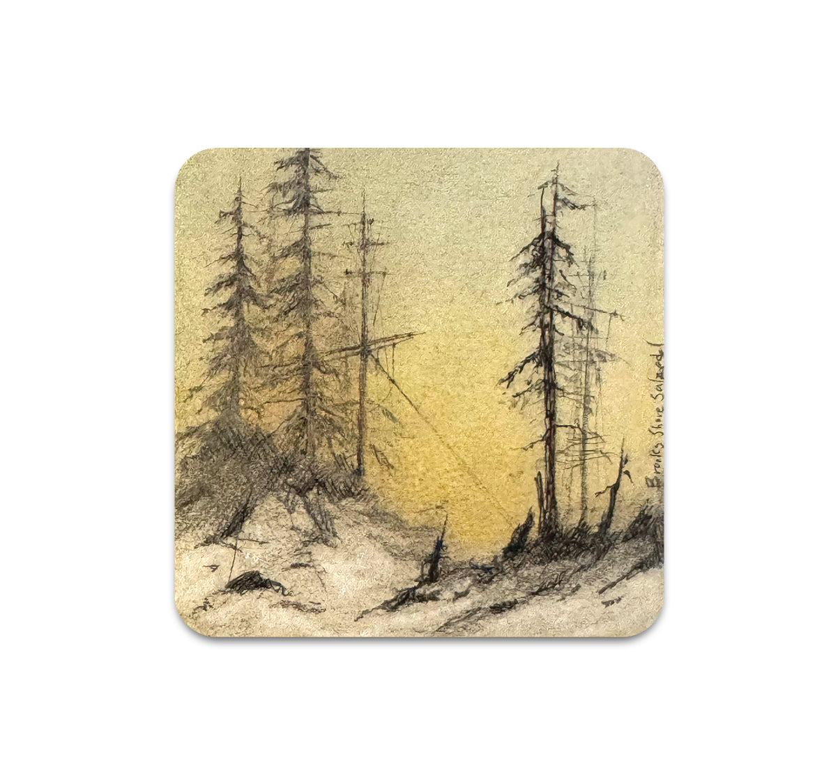 S11 Brooks Shane Salzwedel - Coaster 4