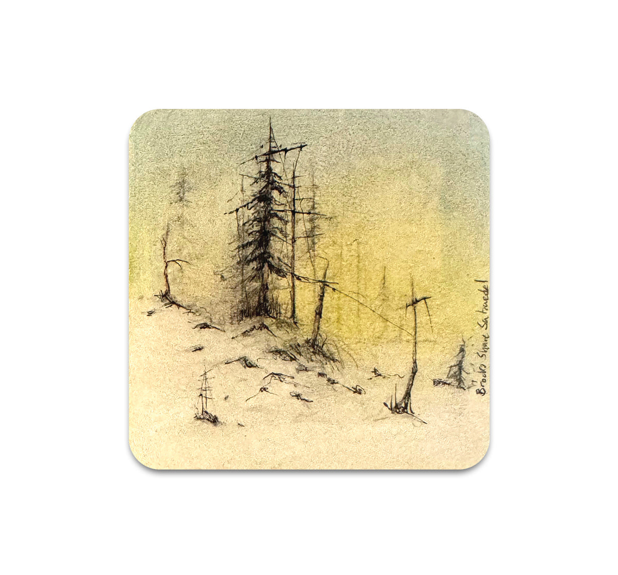 S11 Brooks Shane Salzwedel - Coaster 7
