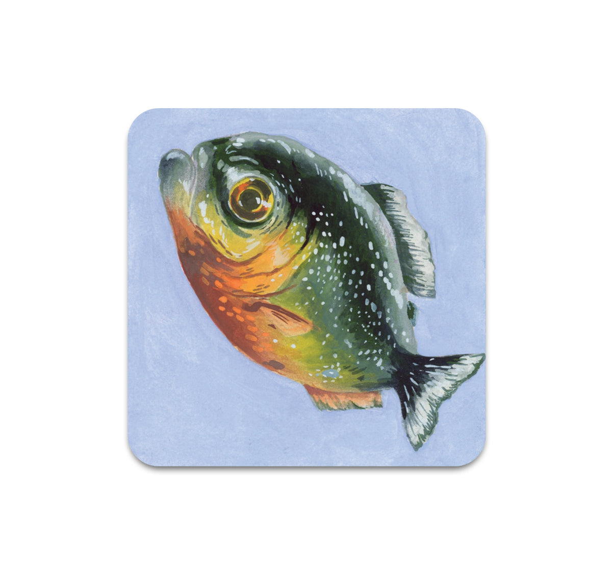 S11 Christina Hu - Coaster 1