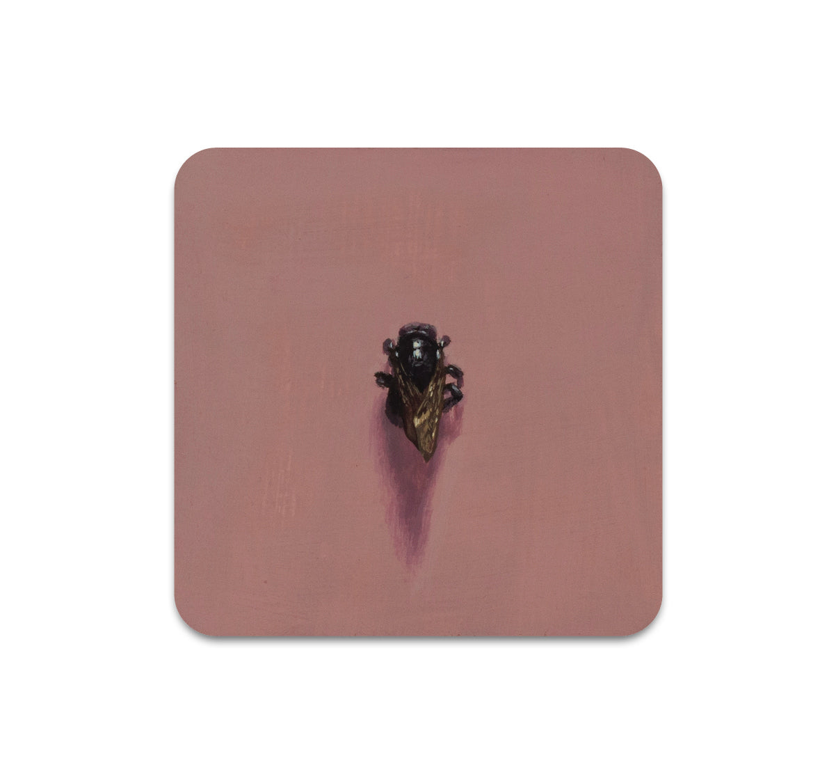 S11 Cody Jimenez - Coaster 3