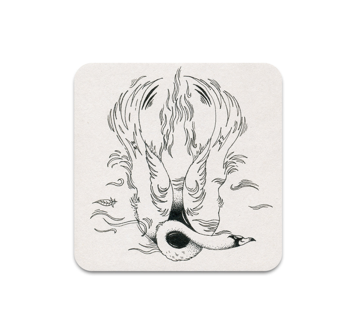 S11 Cristina Bencina - Coaster 2