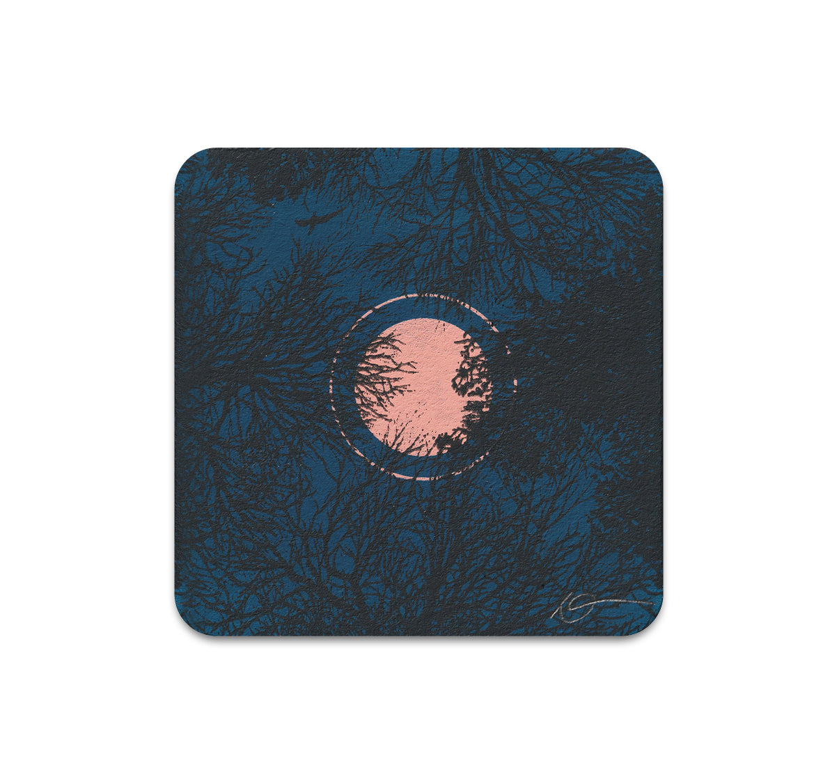 S11 Dan McCarthy - Coaster 6
