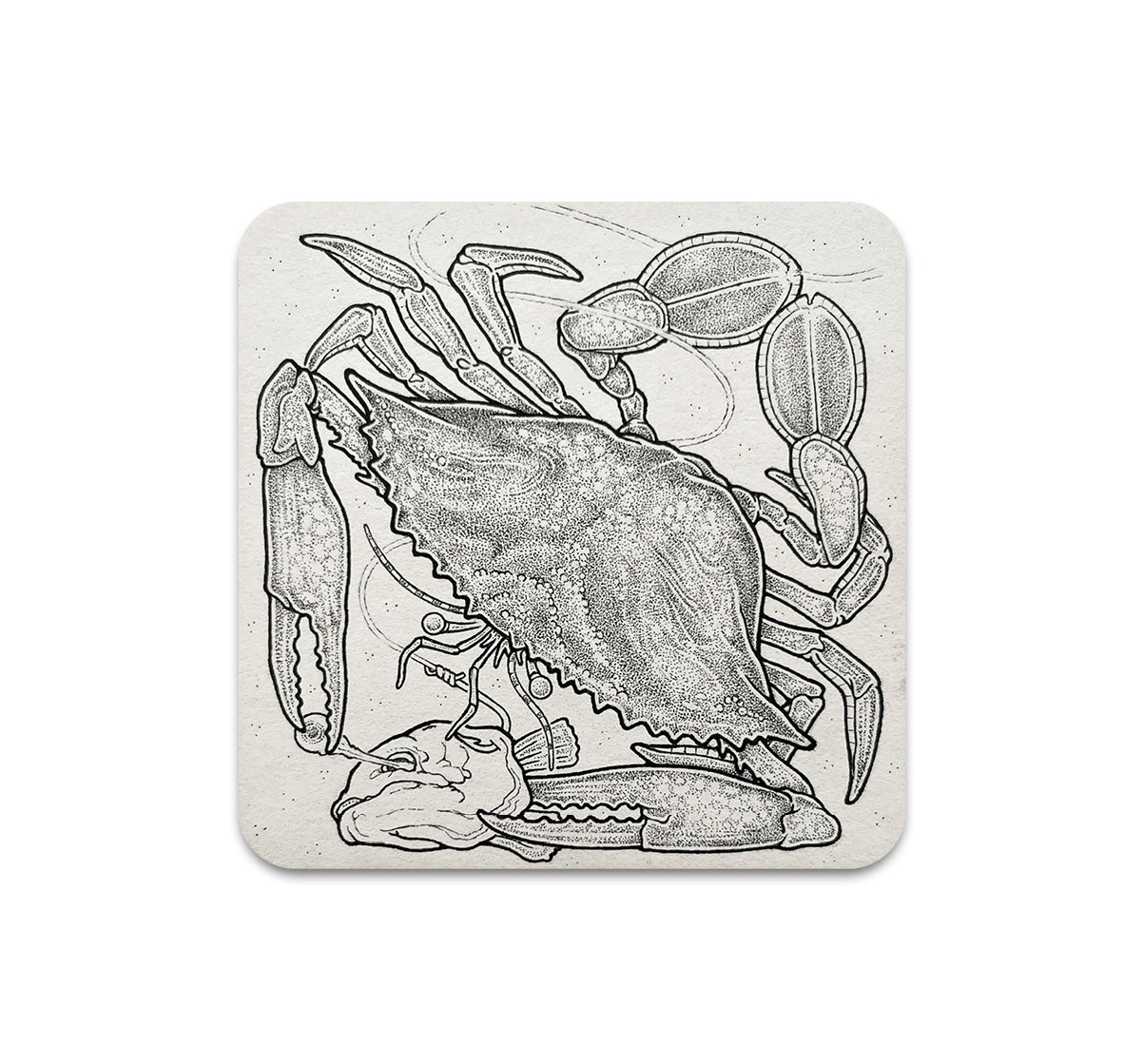 S11 Dylan Jones - Coaster 1