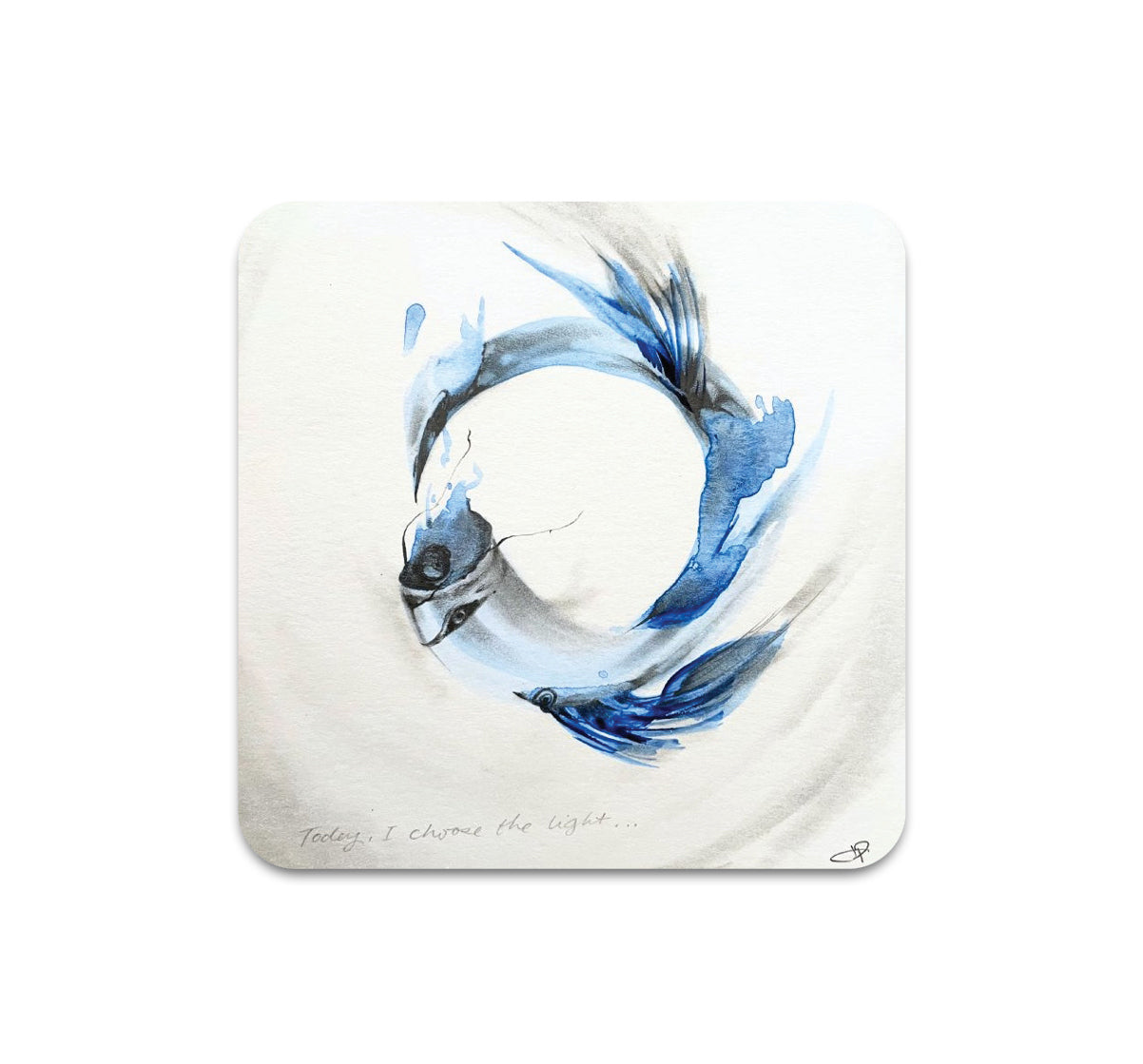 S11 JP Neang - Coaster 1
