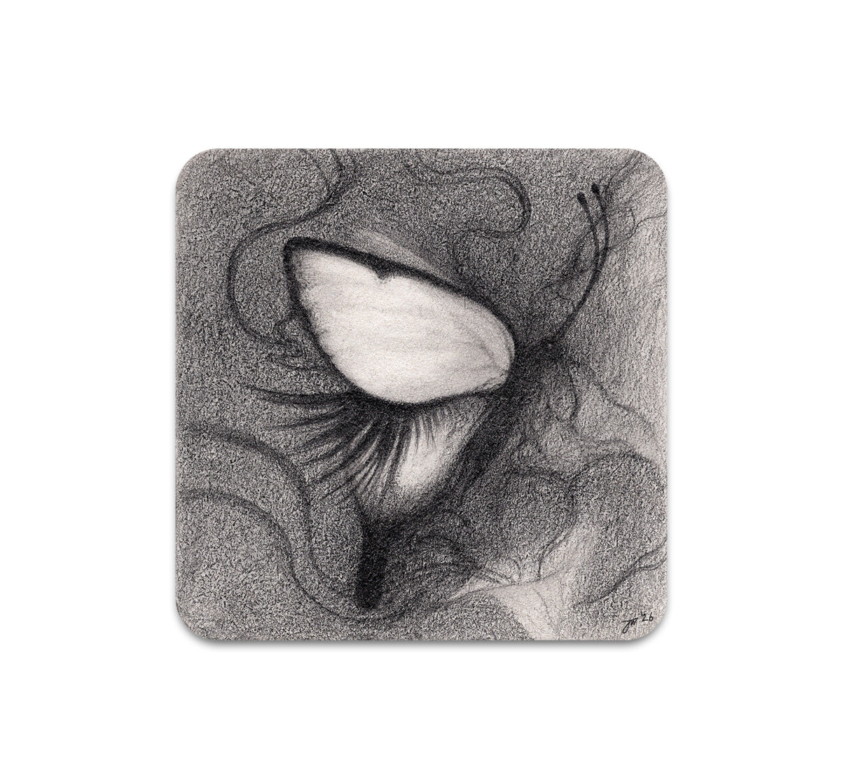 S11 Jamie Wells - Coaster 3