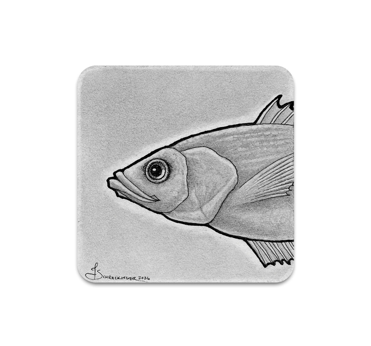 S11 Juliet Schreckinger - Coaster 3