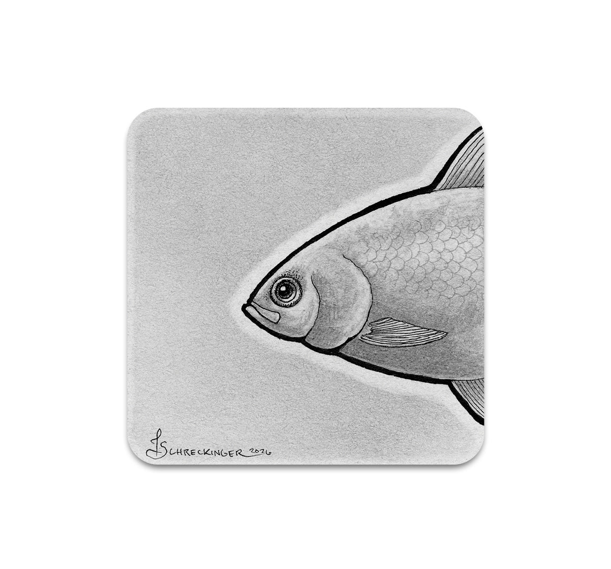 S11 Juliet Schreckinger - Coaster 9