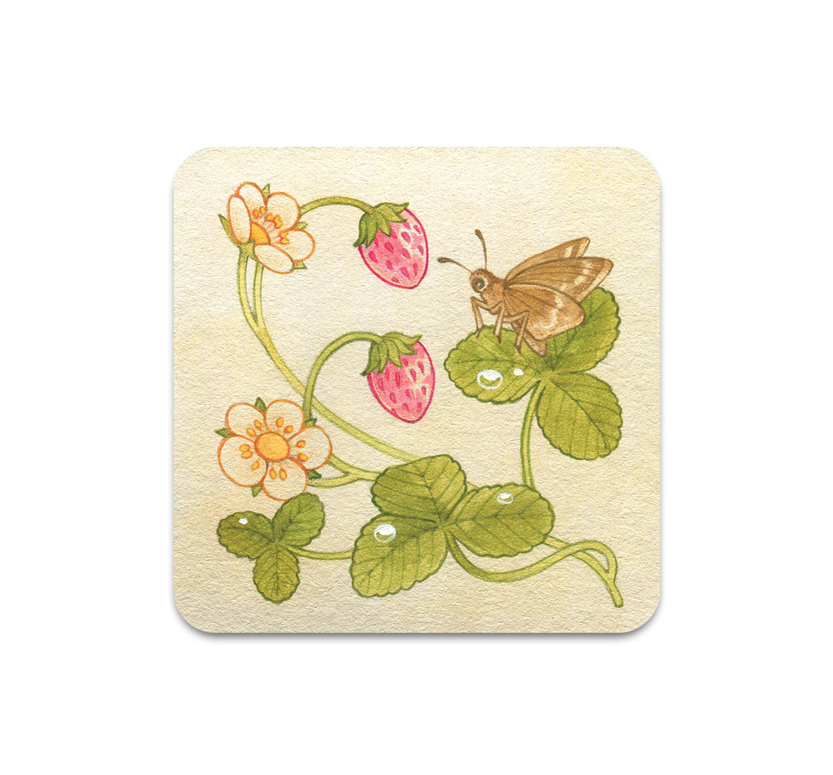 S11 Lianne Pflug - Coaster 10