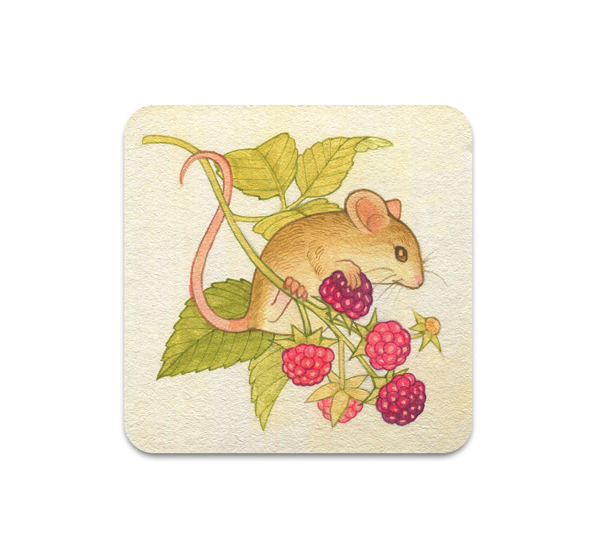 S11 Lianne Pflug - Coaster 6