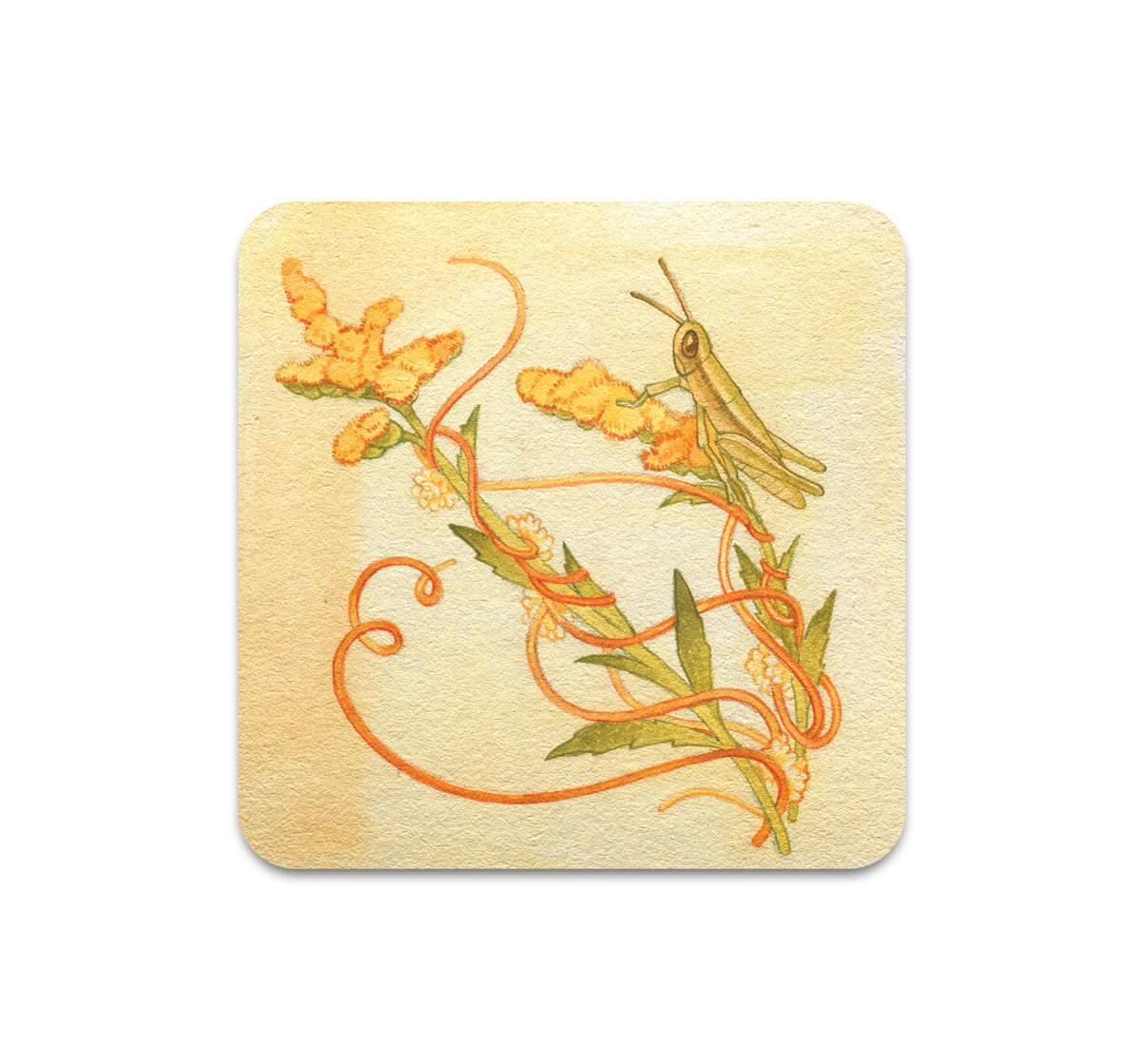 S11 Lianne Pflug - Coaster 7