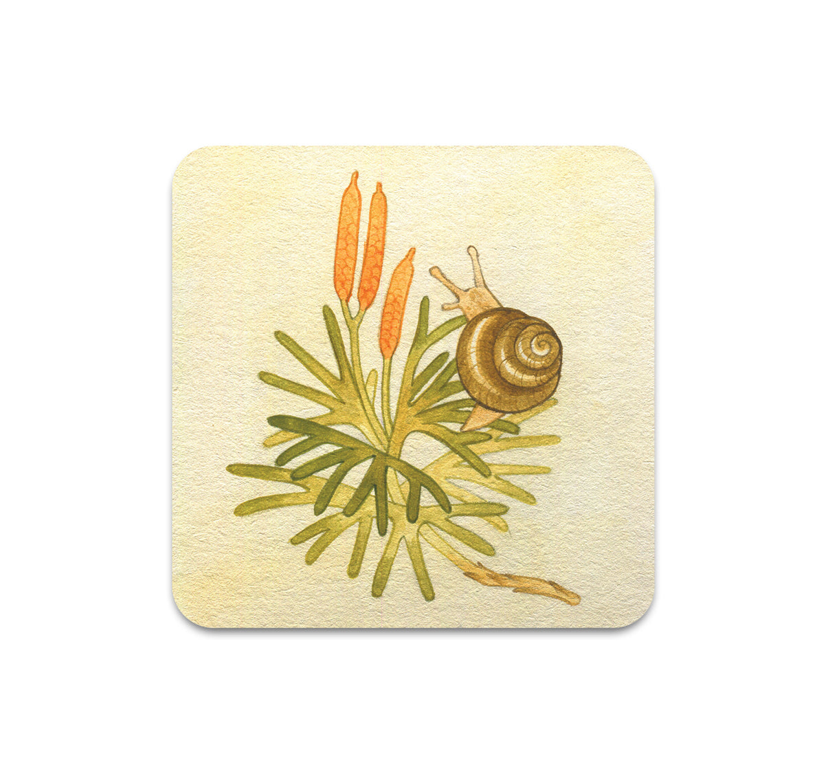 S11 Lianne Pflug - Coaster 8