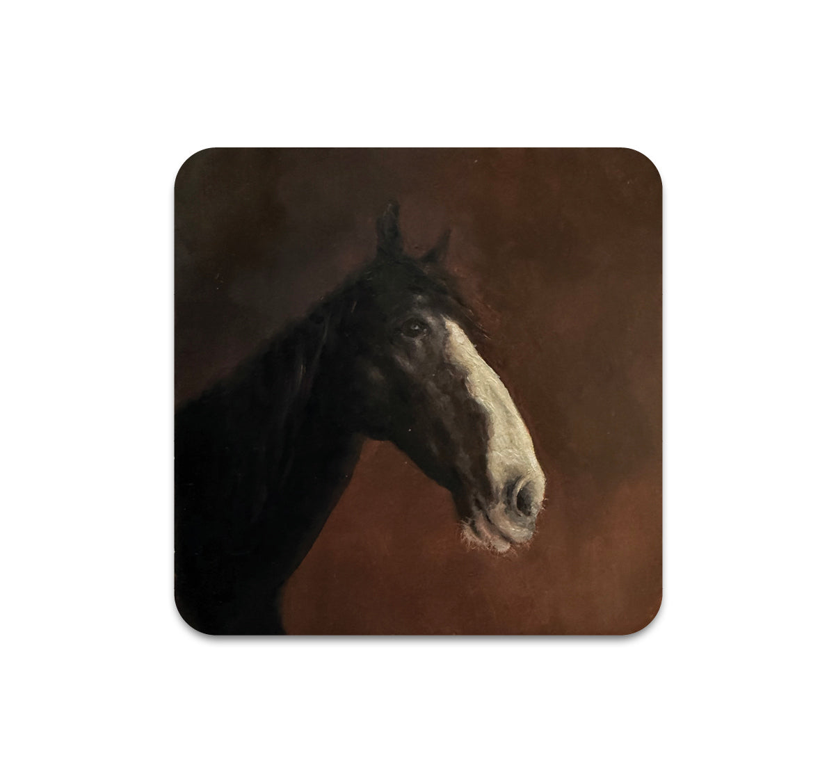 S11 Nat Erickson - Coaster 2