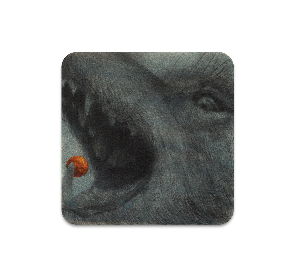 S11 Zachary Oldenkamp - Coaster 1