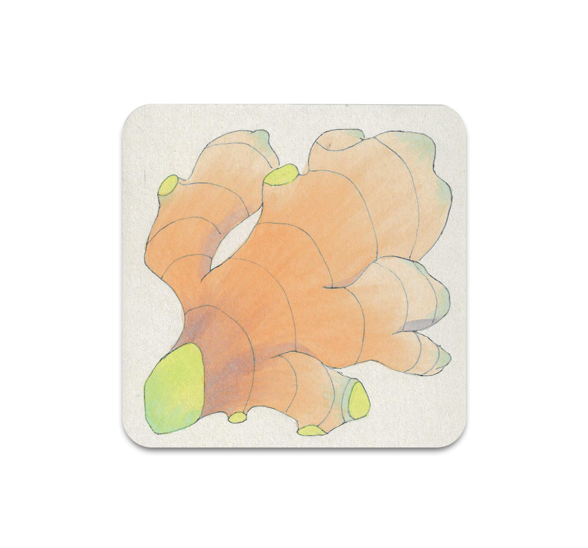 S11 fulltimefish - Coaster 3
