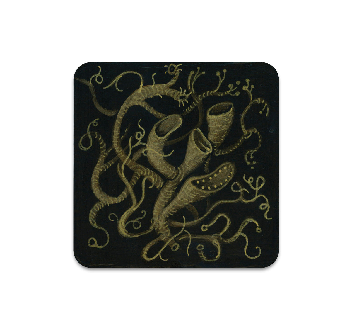 S8 Alex Kuno - Coaster 2