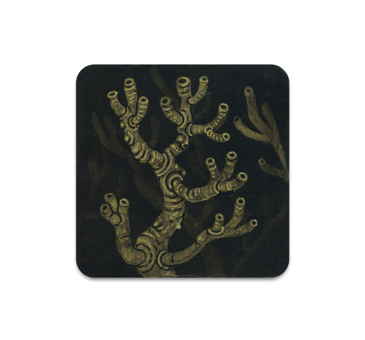 S8 Alex Kuno - Coaster 3