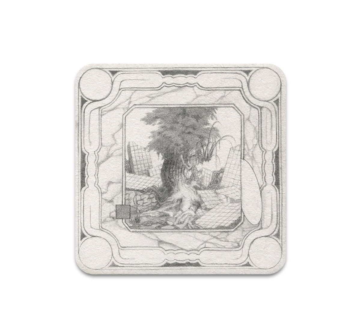 S8 Cam Floyd - Coaster 1