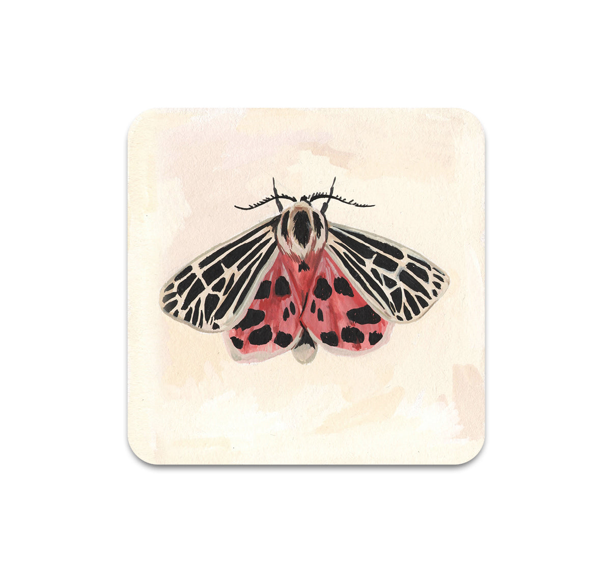 S8 ケルシー・オセイド - コースター 6