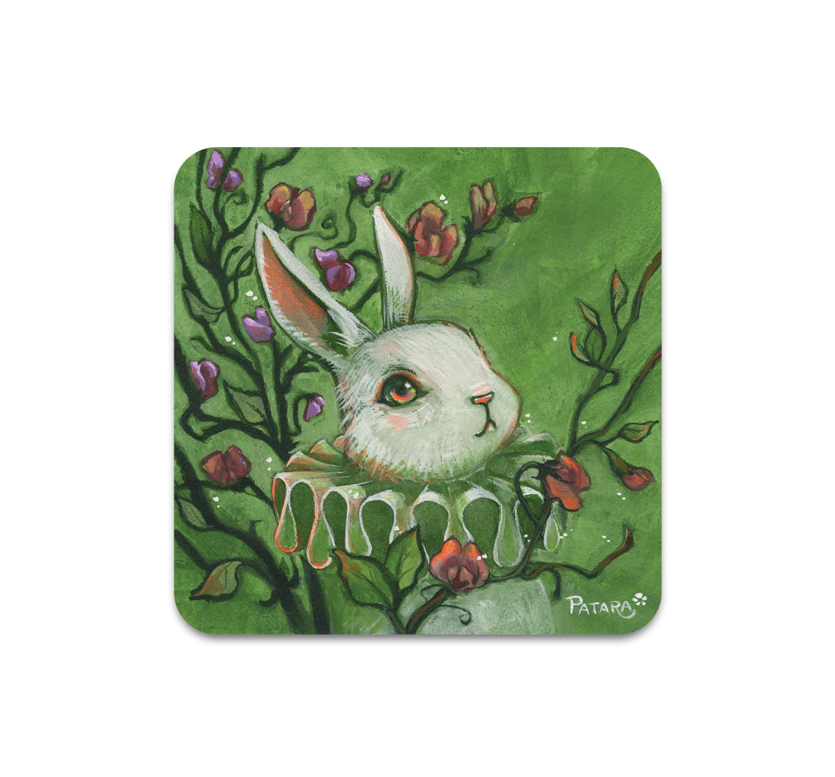 S8 PATARA - Coaster 2