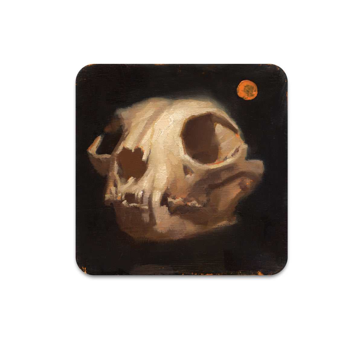 S8 Zachary Oldenkamp - Coaster 2