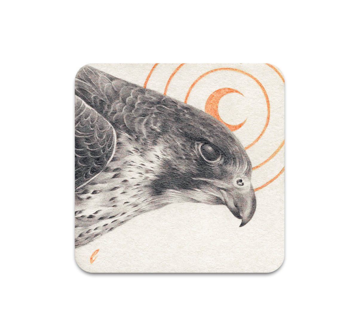 S9 Edward Cao - Coaster 1