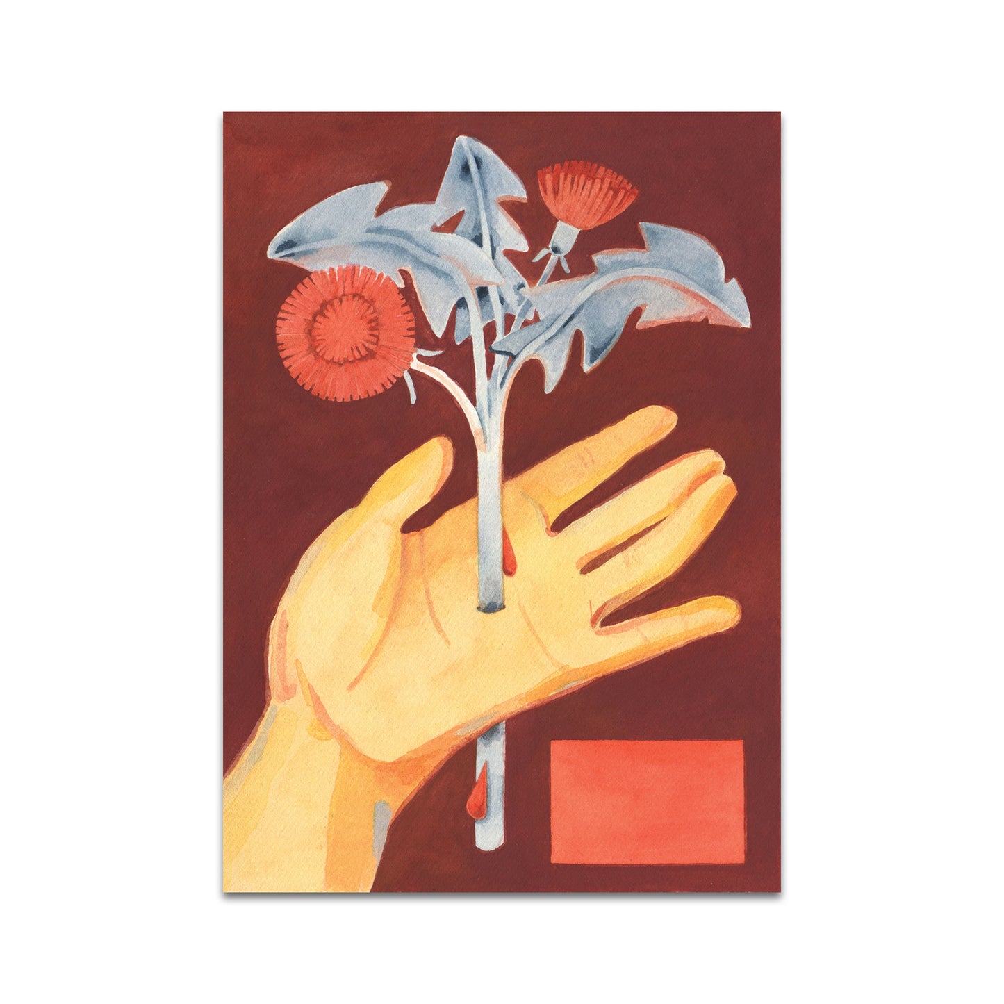 P9 - ルイサ・リベラ ポストカード 3