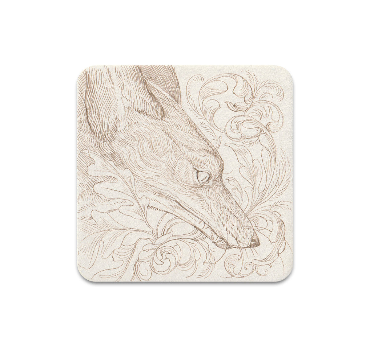 S9 Rachel Hauer - Coaster 2