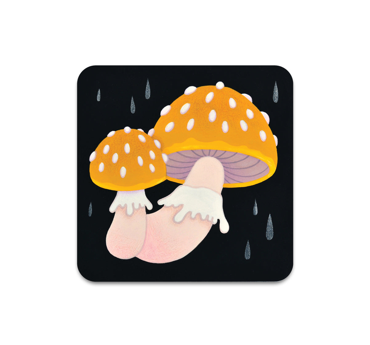 S9 シャノン・ナイト - コースター 3