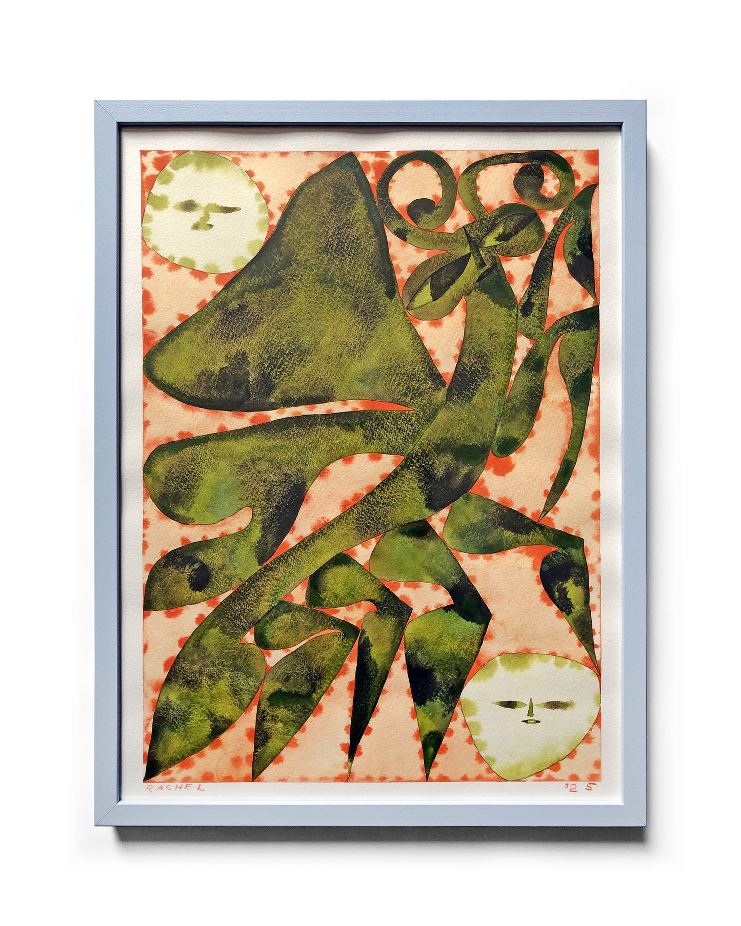 Rachel Hayden - Pine Moth