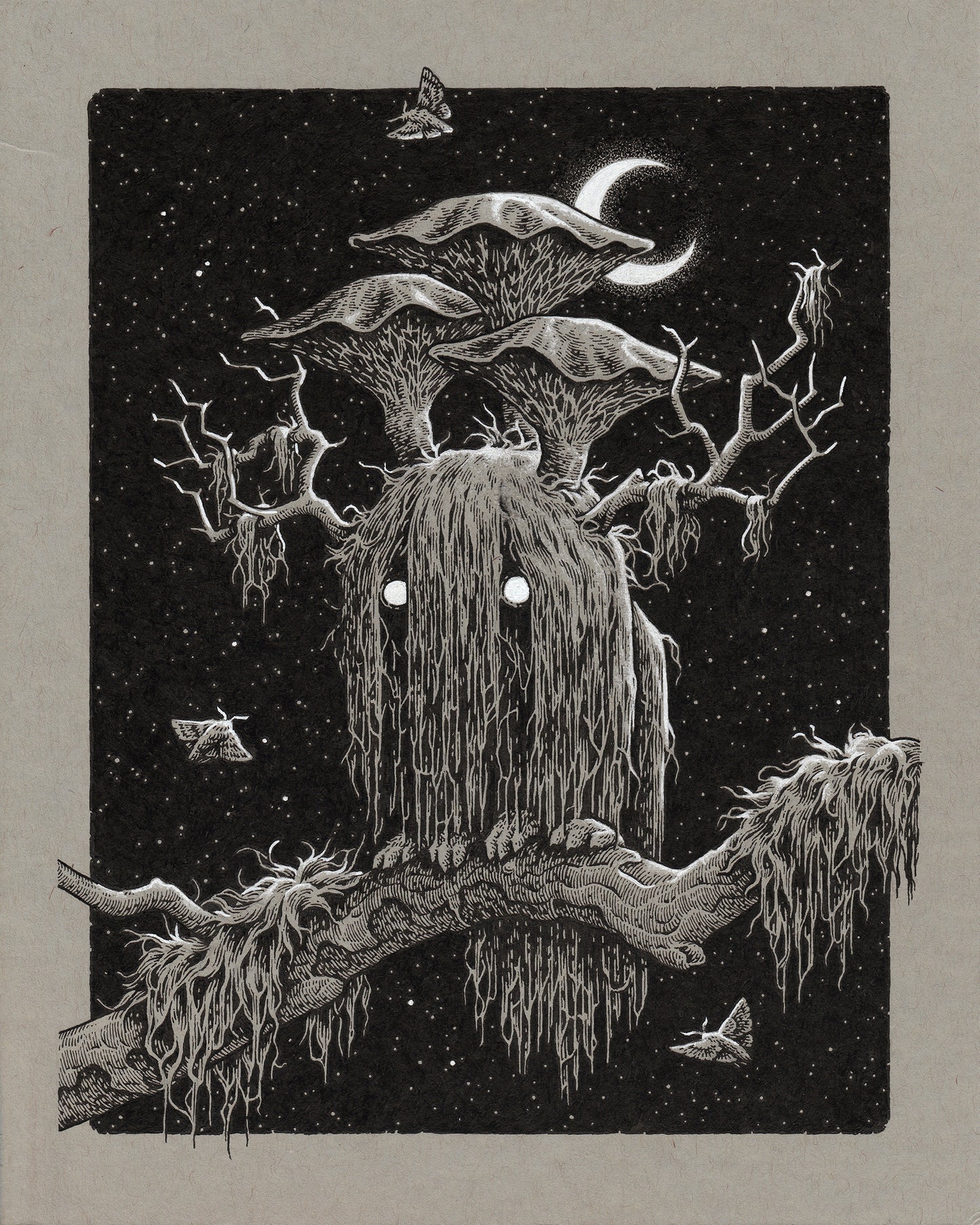 Simon J. Curd - Moss Marten