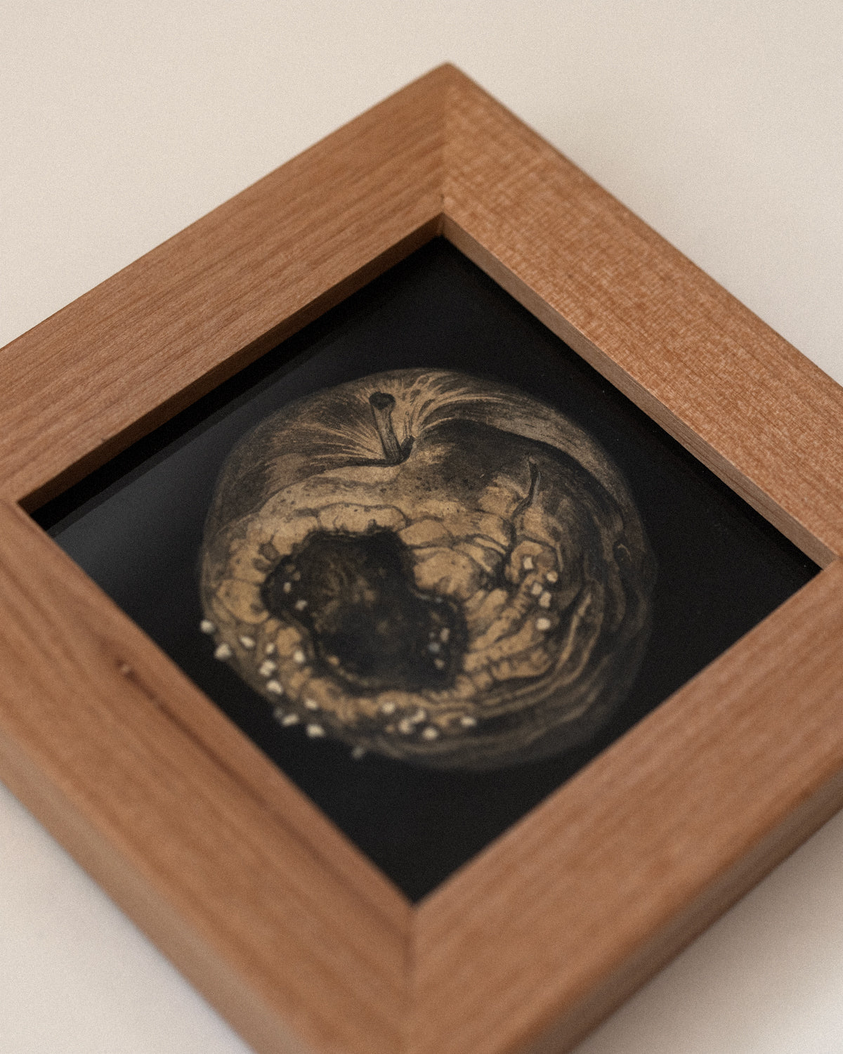 Teagan White - Reintegration (Apple)