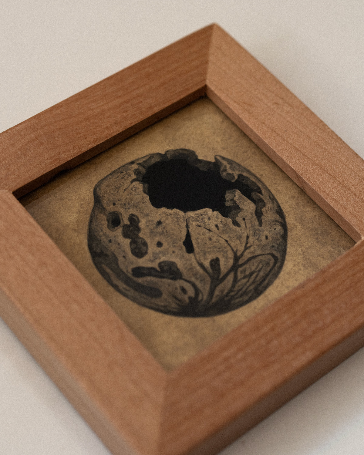 Teagan White - Reintegration (Oak Gall 1)