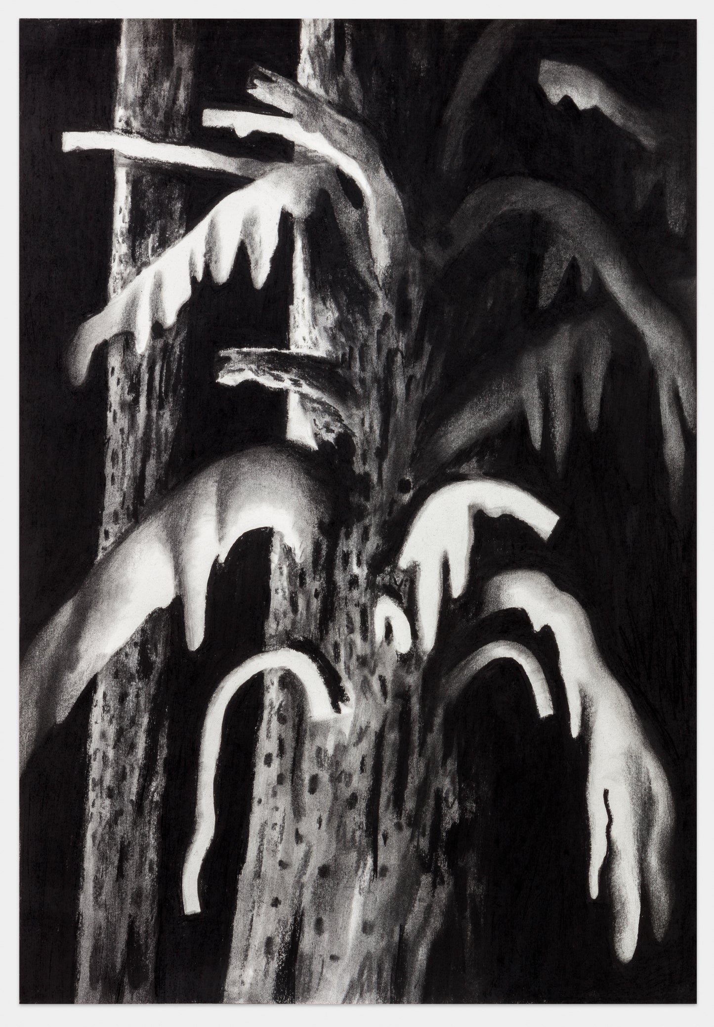 Timothy Lamb - Uprooting, untitled #2