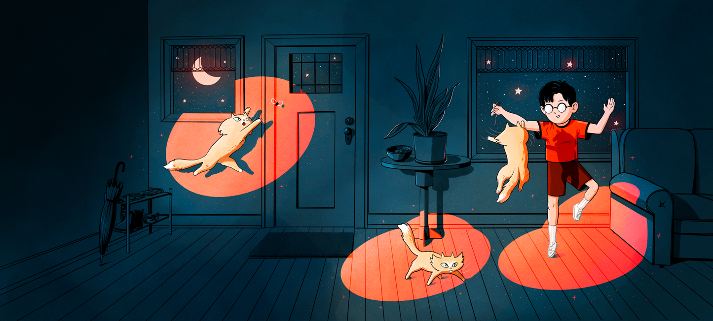 Matt Schu - My Cat Does Ballet