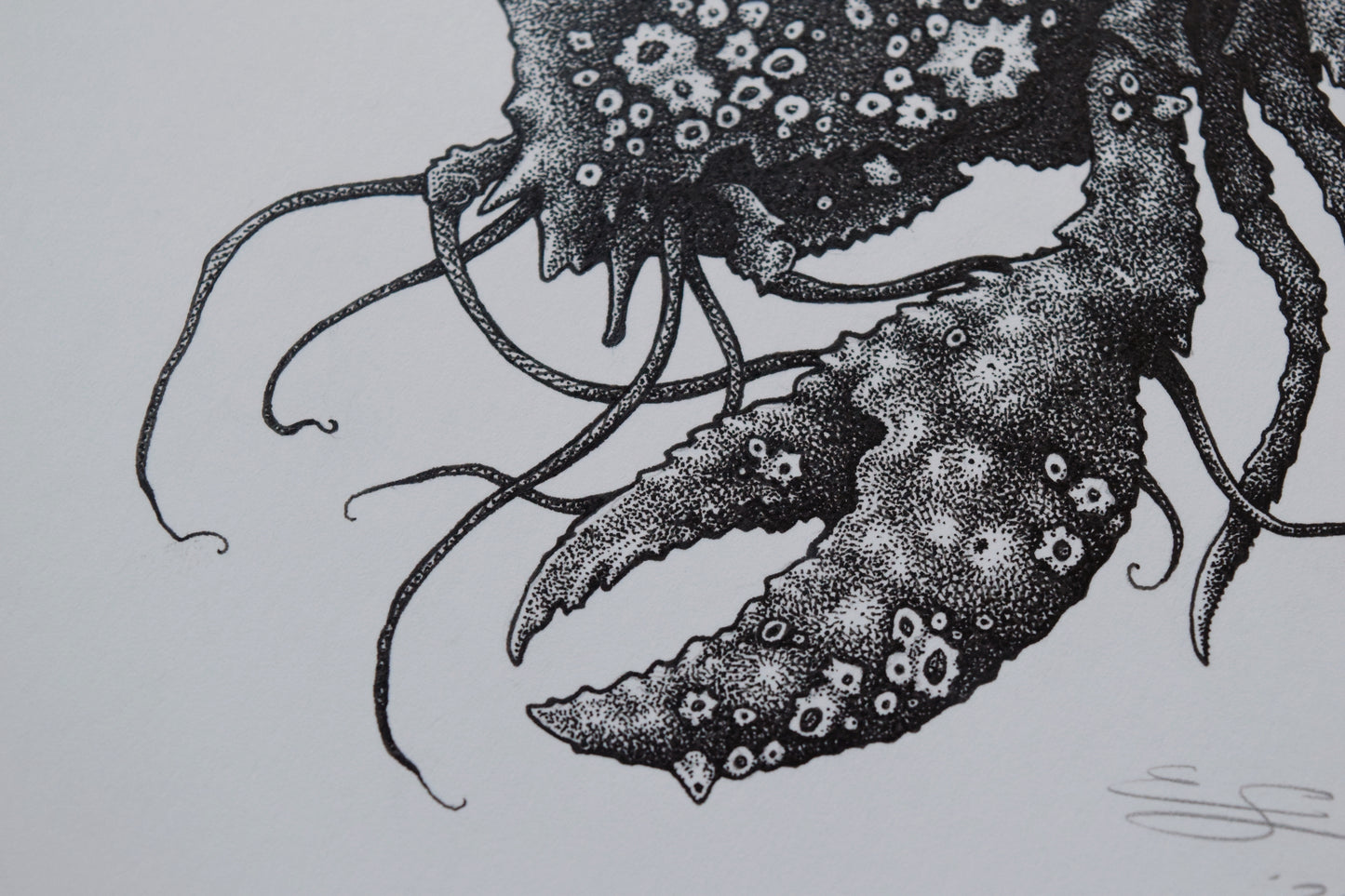 Eric Wolfe Sahlsten - The Anchorite