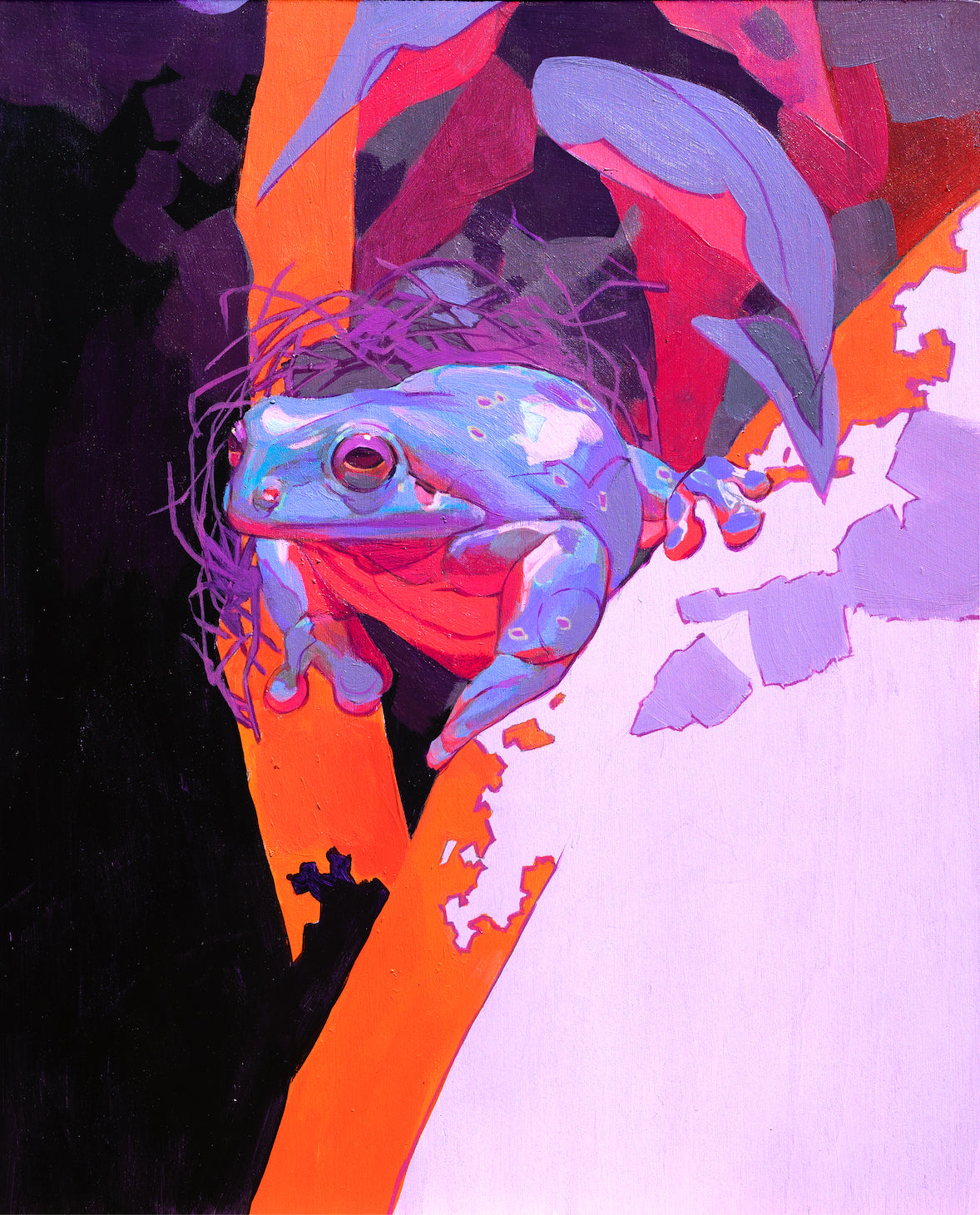 エリザ・イワノワ - ホワイトズ・アオガエル