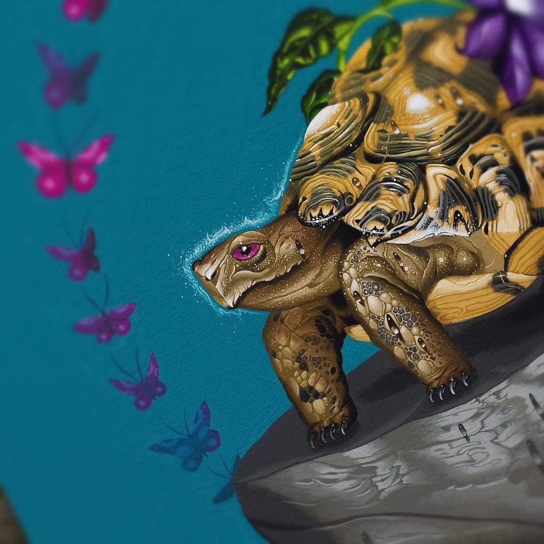 ケイン・コカリス - Halo