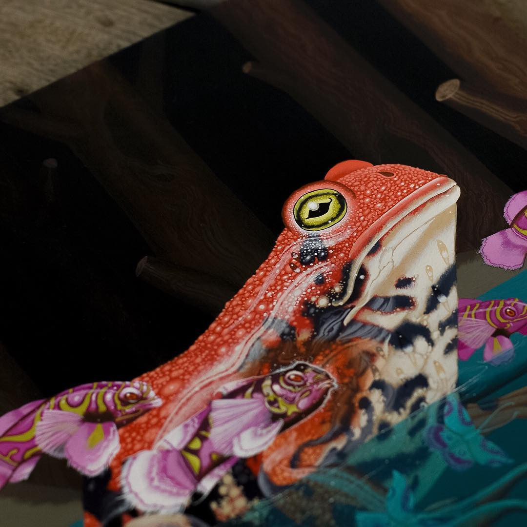 Kane Kokaris - Immerse