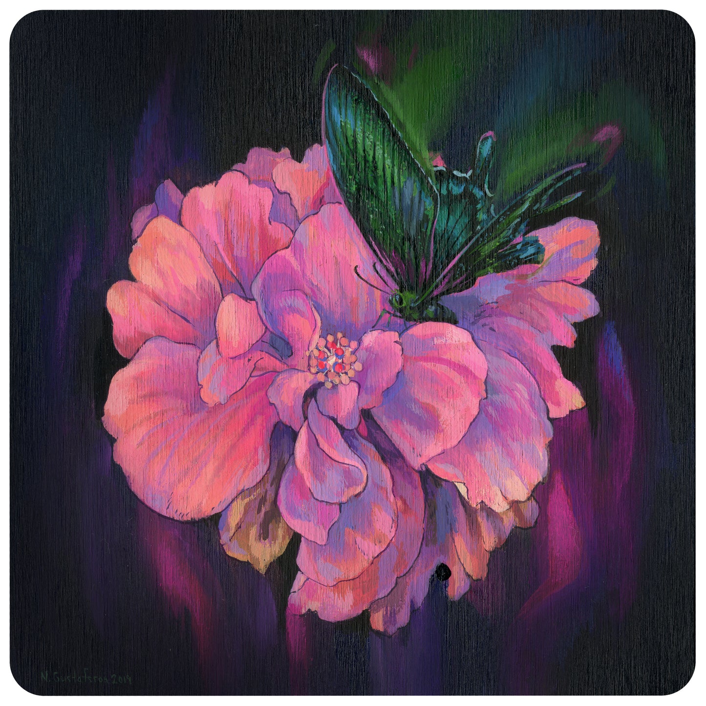 Nicole Gustafsson - Alpine Black Swallowtail