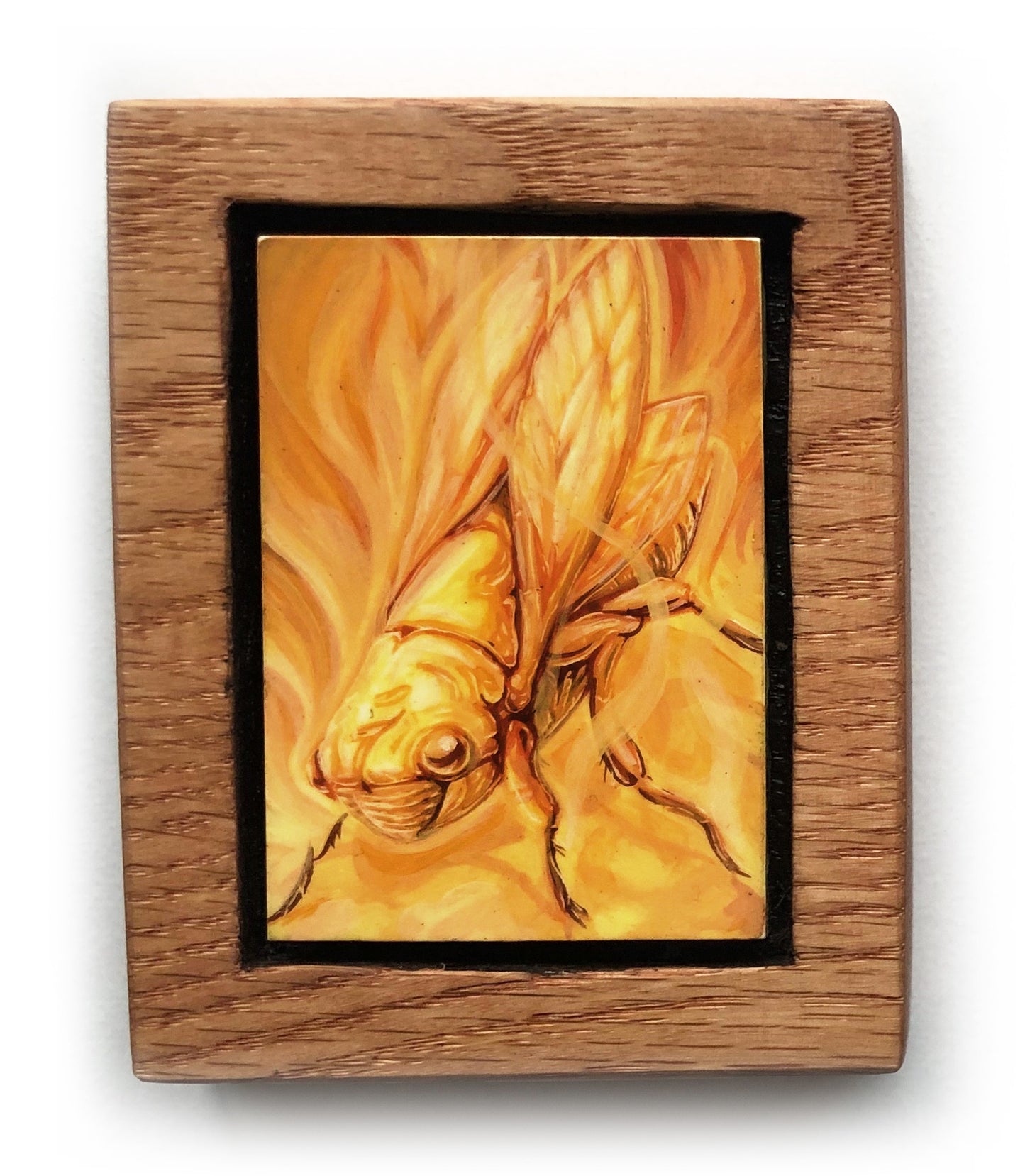 Andrew Ghrist - Cicada 1